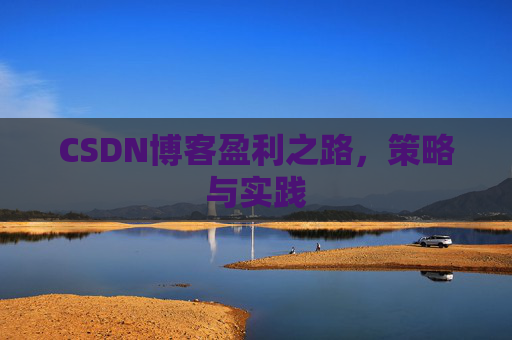 CSDN博客盈利之路，策略与实践